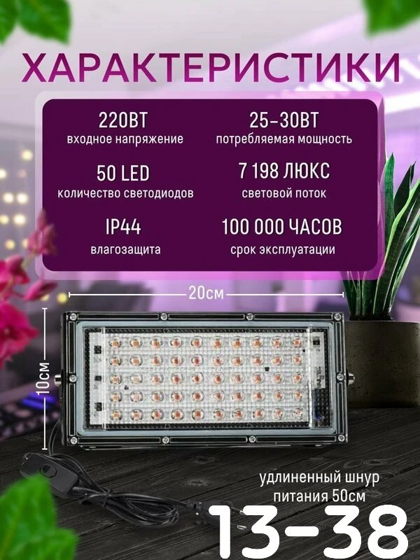 Spa ProBrush